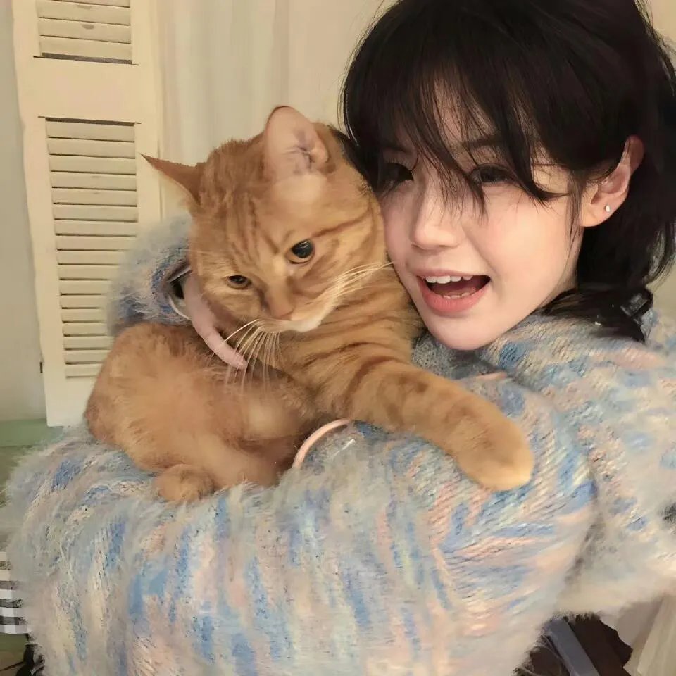 地球未知档案：失落的金字塔